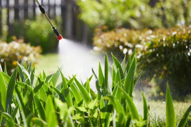 24/7 Emergency Ant Control experts in Harrogate, TN